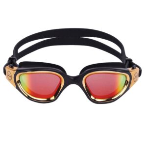 Zone3 Occhiali Vapour con lenti polarizzate Revo - Nero / Oro metallizzato